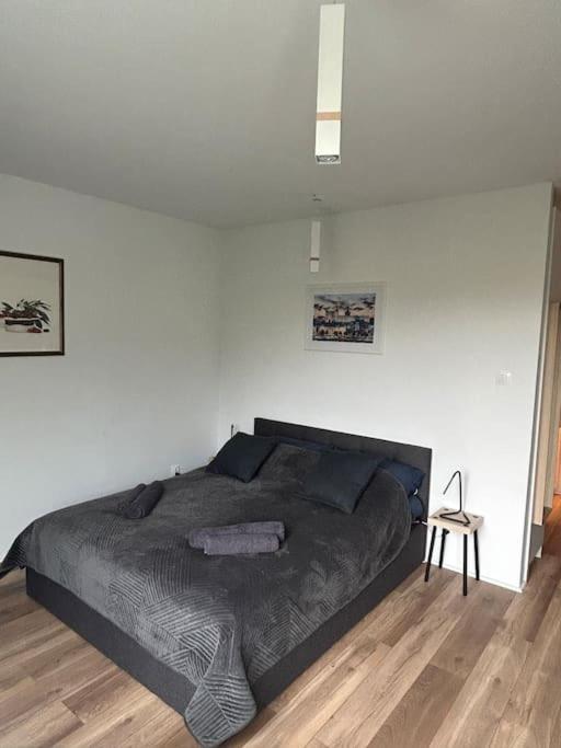 Apartament Stary Štetín Exteriér fotografie