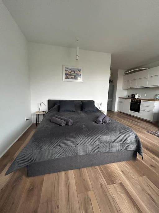 Apartament Stary Štetín Exteriér fotografie
