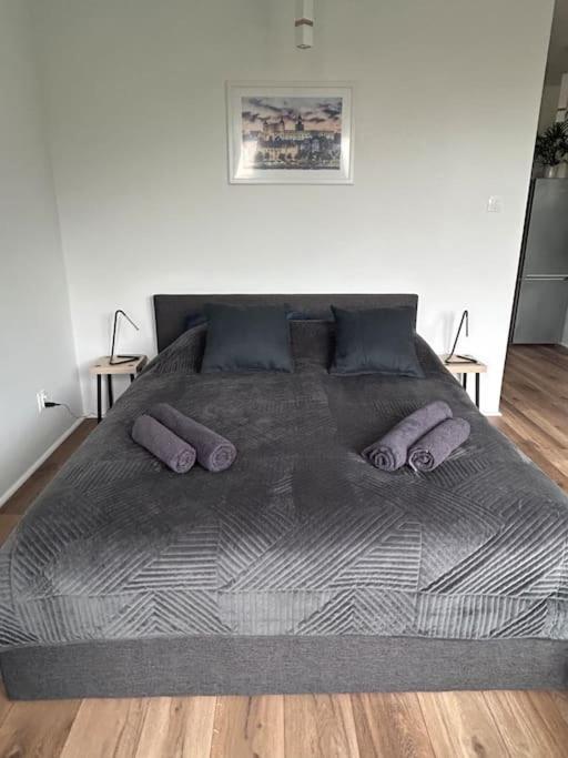 Apartament Stary Štetín Exteriér fotografie